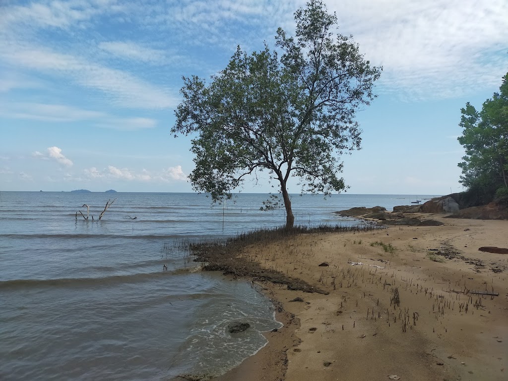 Pesona Pantai Pasir Mayang: Surga Tersembunyi di Kalimantan Barat