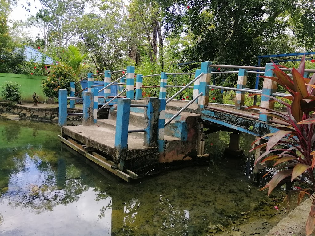 Jelajahi Pesona Tersembunyi Sipant Lotup di Kalimantan Barat