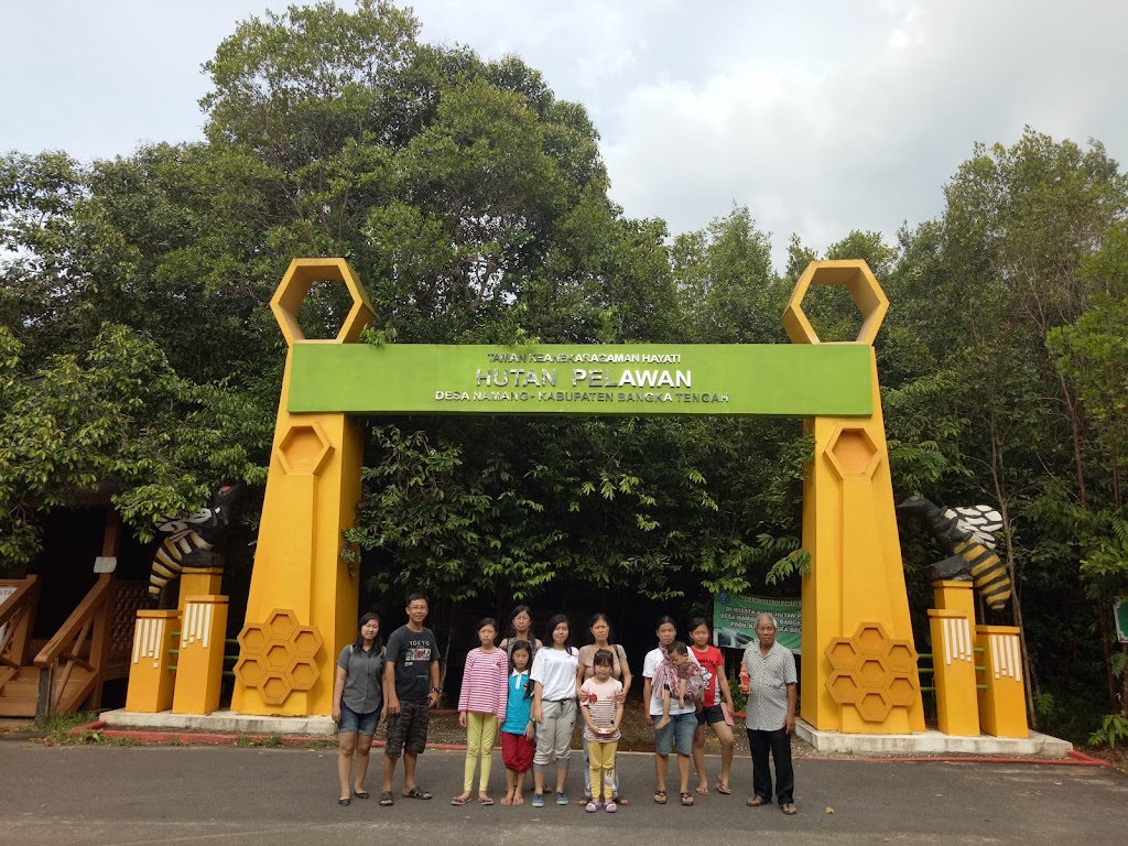 Jelajah Hutan Pelawan: Keindahan Tersembunyi di Bangka Tengah