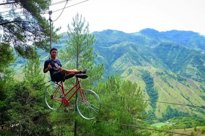Menjelajahi Kedamaian Dante Pine di Enrekang, Sulawesi Selatan