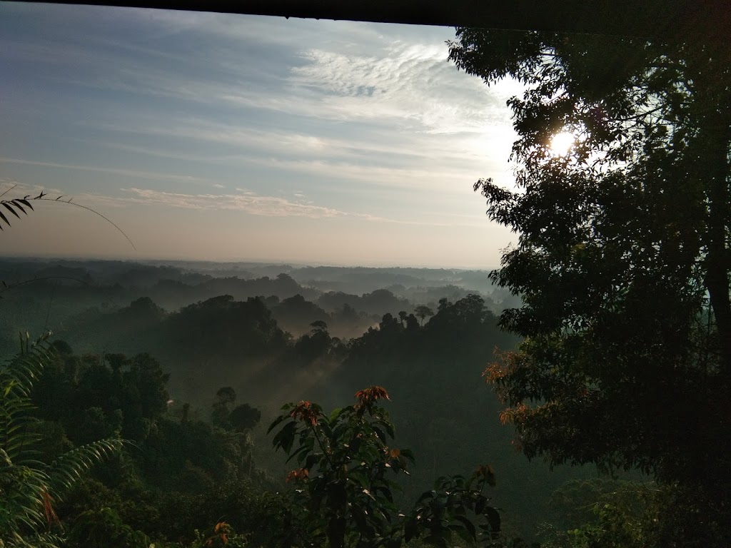Petualangan Menantang di Taman Wisata Alam Sibolangit, Sumatera Utara