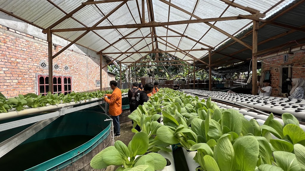 Jelajahi Kampung Wisata Berseri Eka Jaya: Pesona Jambi yang Menawan