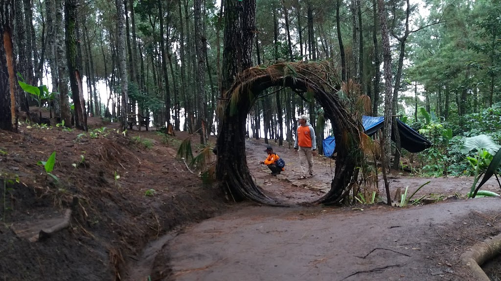 Bukit Salju Ngetos: Pesona Alam Tersembunyi di Nganjuk