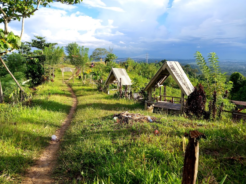 Puncak Borneo: Petualangan di Hutan Kalimantan Timur