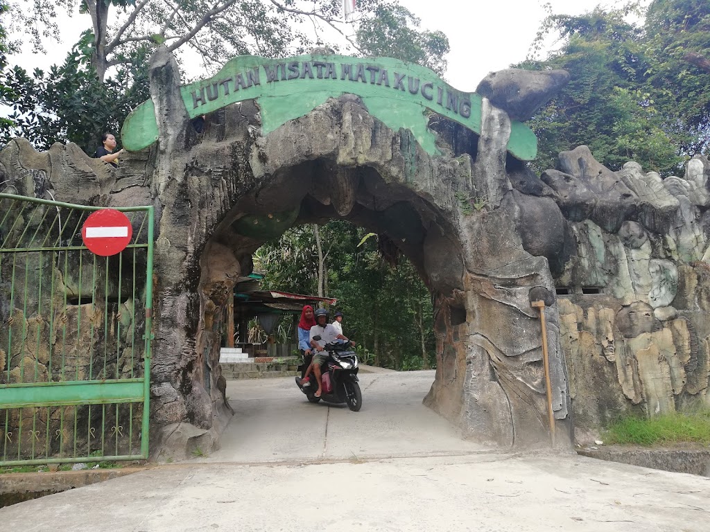 Jelajahi Hutan Wisata Mata Kucing dan Bonbin Mini Batam: Petualangan Menarik di Kepulauan Riau