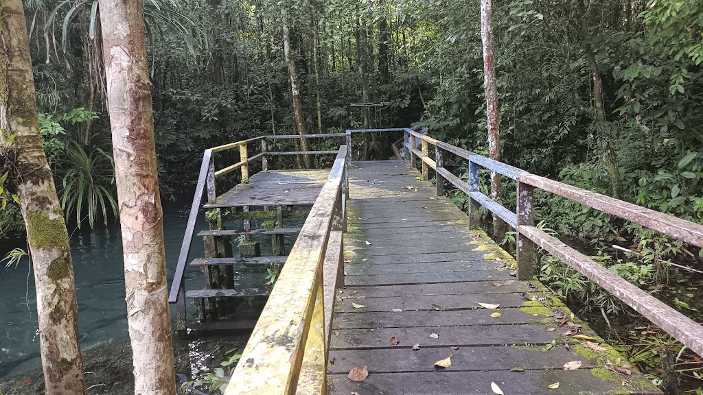 Jelajah Kali Klabra: Pesona Alam Tersembunyi di Sorong Selatan