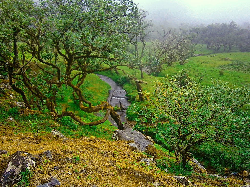 Lembah Lohe: Pesona Tersembunyi di Sulawesi Selatan