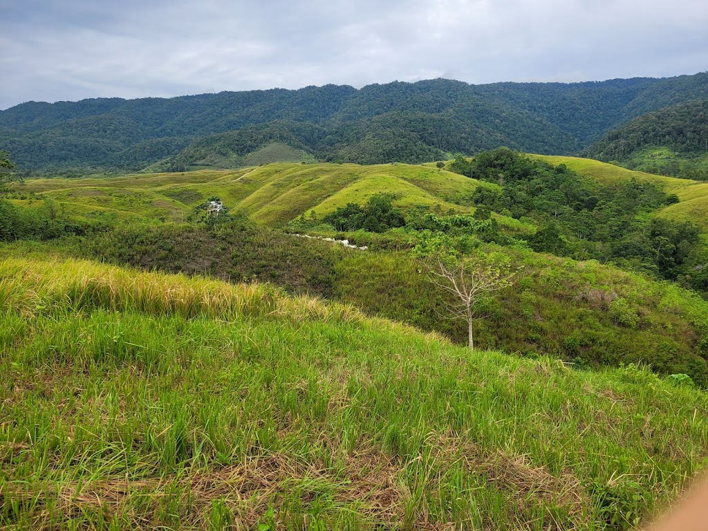Bukit Teletubbies: Petualangan di Negeri Dongeng Sulawesi Tengah