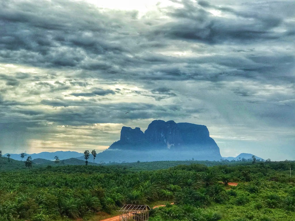 Bukit Batu Daya: Pesona Tersembunyi di Ketapang, Kalimantan Barat