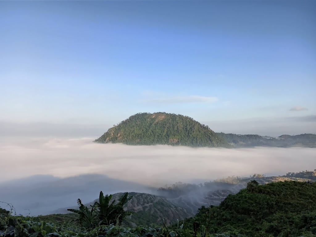 Menjelajah Gunung Embun (Saing Boga): Pesona Tersembunyi di Kalimantan Timur