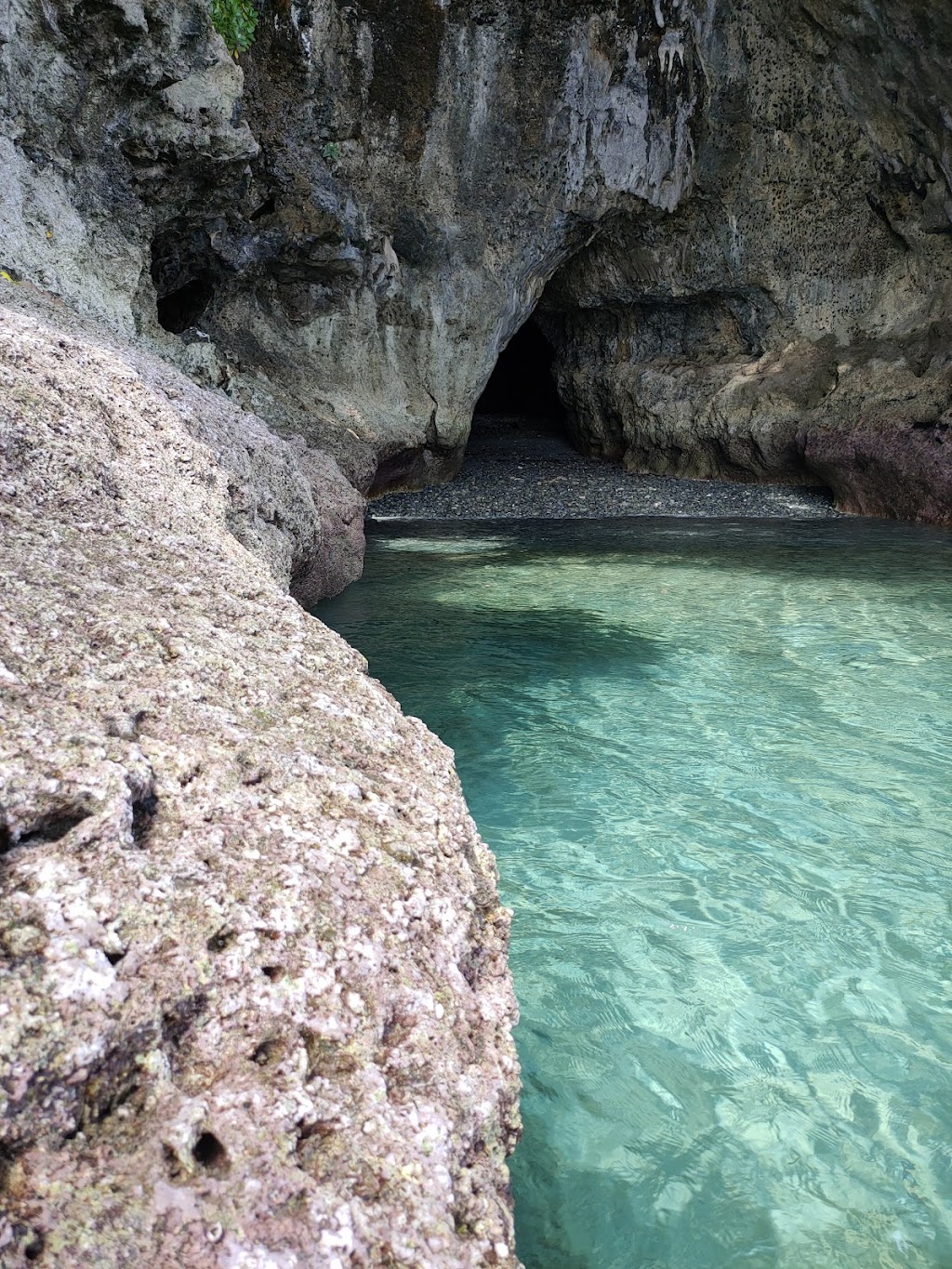 Jelajahi Keindahan Coral Beach Liang Payer di Ambon