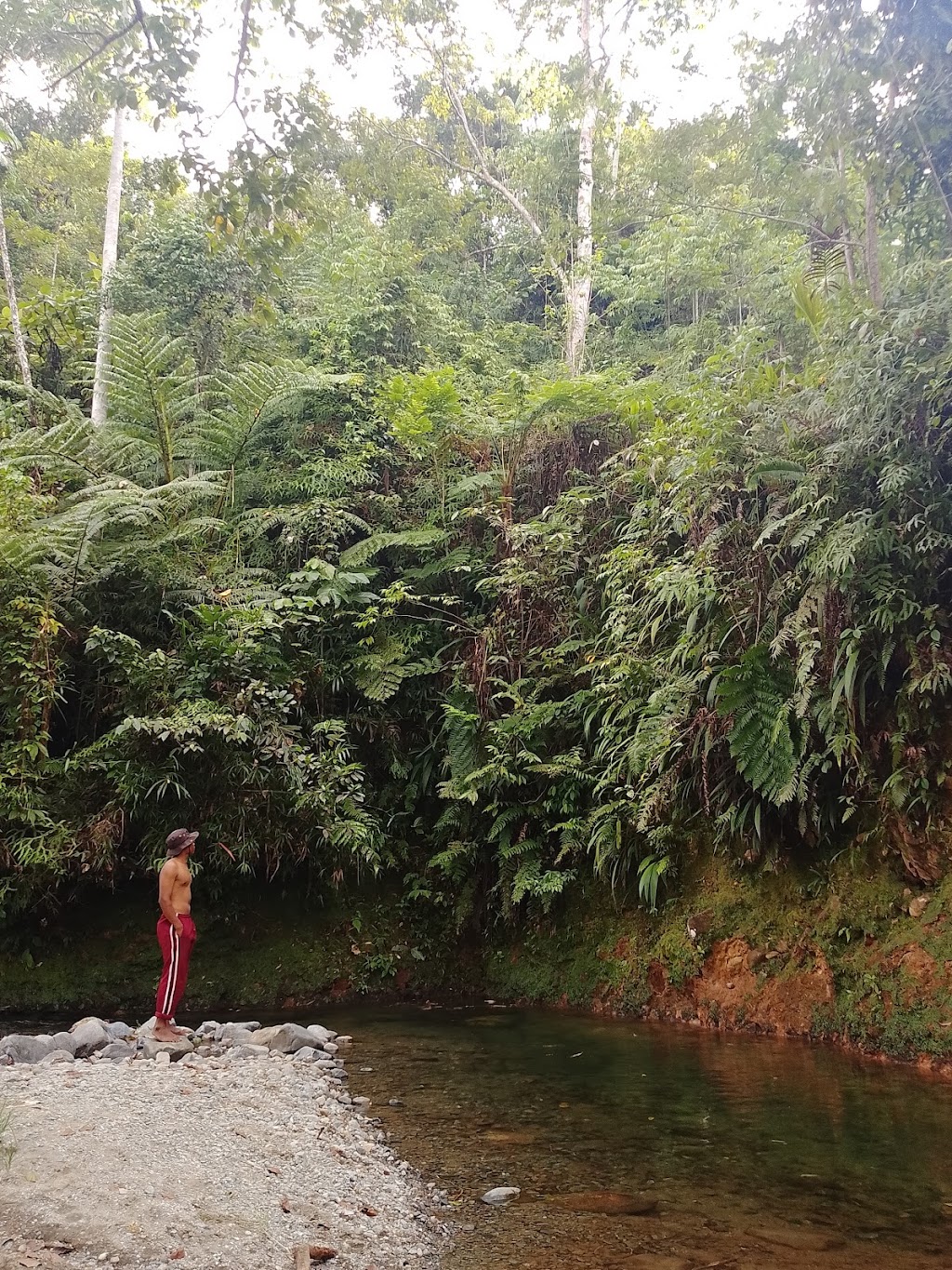Jelajah Kali Nimbay: Pesona Tersembunyi di Kabupaten Manokwari