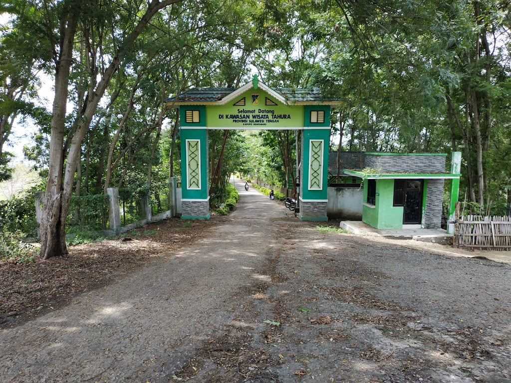 Jelajahi Tahura Kapopo Ngatabaru: Surga Tersembunyi di Sulawesi Tengah