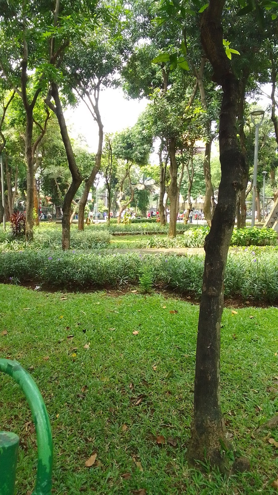 Menguak Keindahan Taman Tangkuban Perahu di Jawa Barat