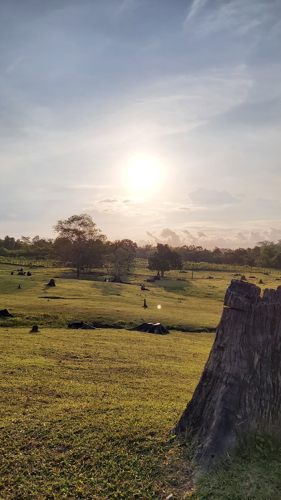 Jelajahi Taman Wisata Bukit Kebo: Pesona Alam Kalimantan Timur