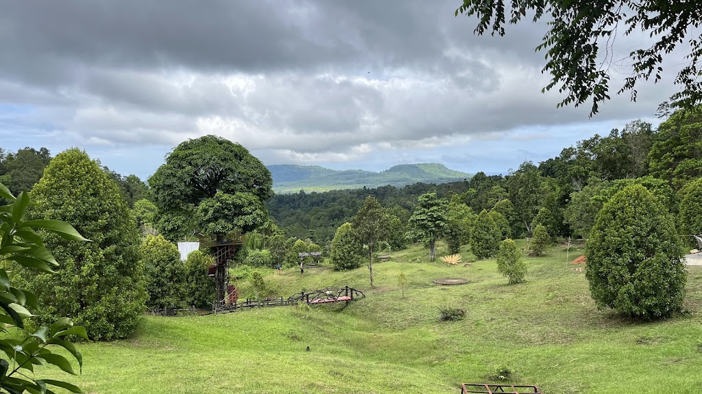 Rumah Pohon Waai: Petualangan di Atas Pohon Maluku