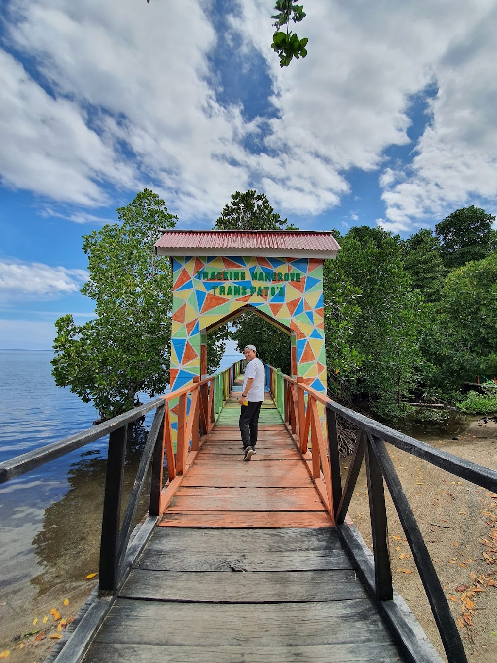 Jelajahi Keindahan Wisata Mangrove Trans Pato’a di Sulawesi Utara