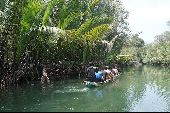 Jelajah Taman Nasional Ujung Kulon: Surga Fauna Langka di Banten