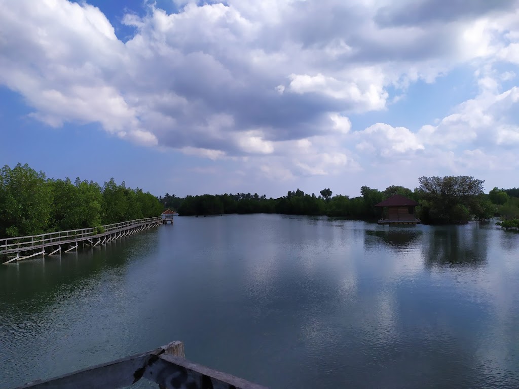 Jelajah Eco Wisata Mangrove Forest Lembar Selatan: Keindahan Alam Lombok Barat