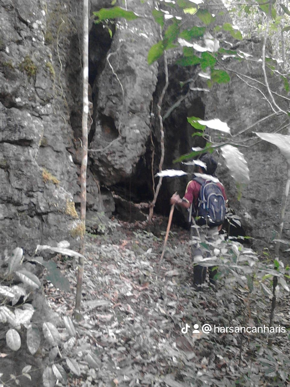 Jelajahi Goa Tamutung: Pesona Alam Tersembunyi di Sumbawa