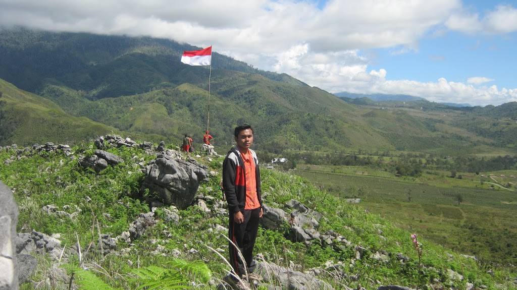 Bukit Pesali Walesi: Pesona Alam Tersembunyi di Papua Pegunungan