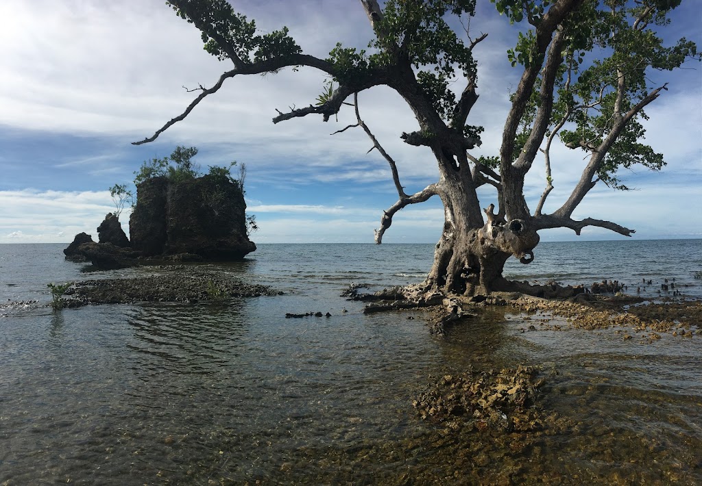 Pesona Pantai Batu Oge: Surga Tersembunyi di Sulawesi Barat