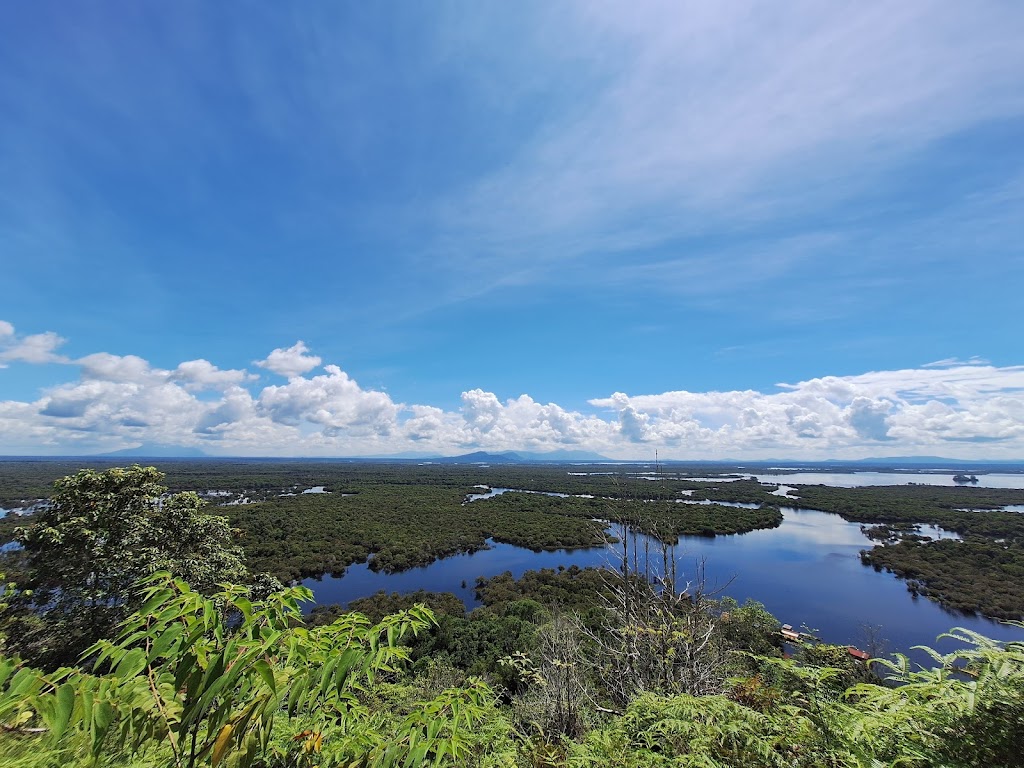 Pesona Taman Nasional Danau Sentarum: Surga Keanekaragaman Hayati Kalimantan