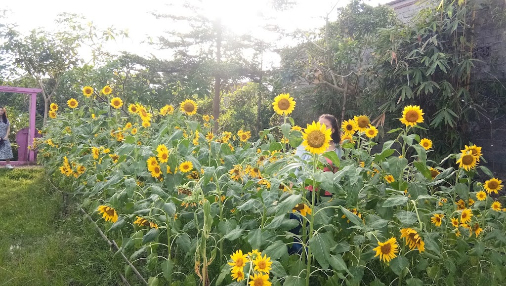 Narmada Botanic Garden: Surga Keindahan di Lombok Barat