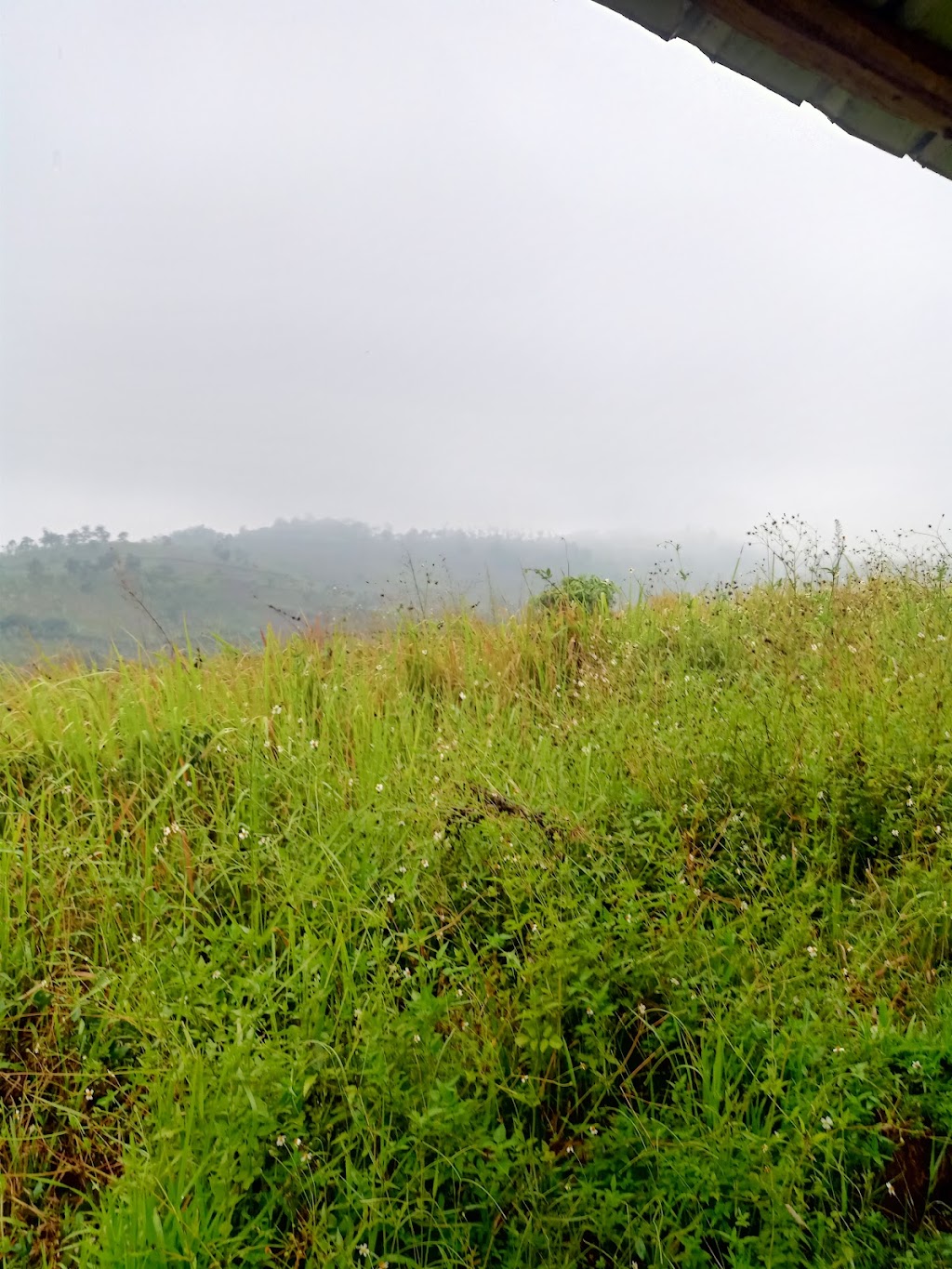 Pasir Pogor: Petualangan di Bukit Wisata 958 mdpl