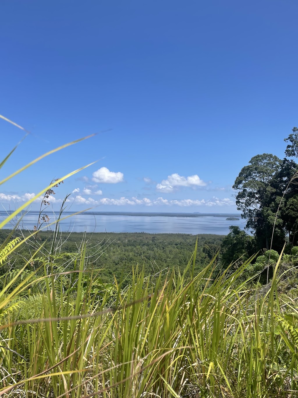 Petualangan Menakjubkan di Bukit Babi, Kalimantan Barat