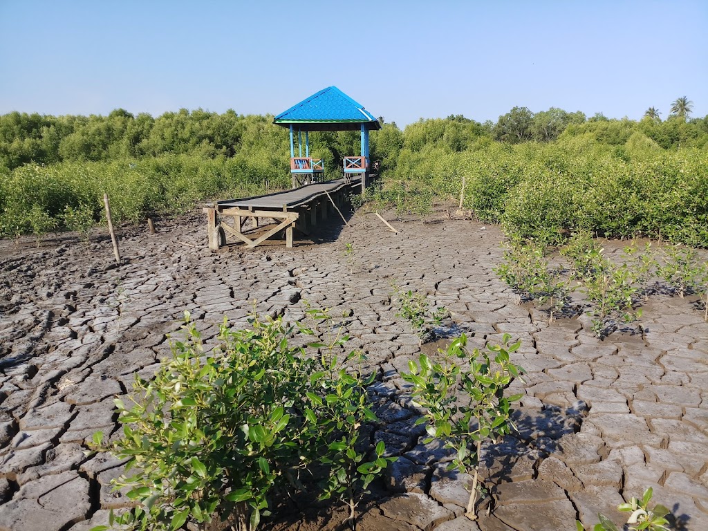 Ekowisata Mangrove Pagatan Besar: Keindahan Alam Kalimantan Selatan