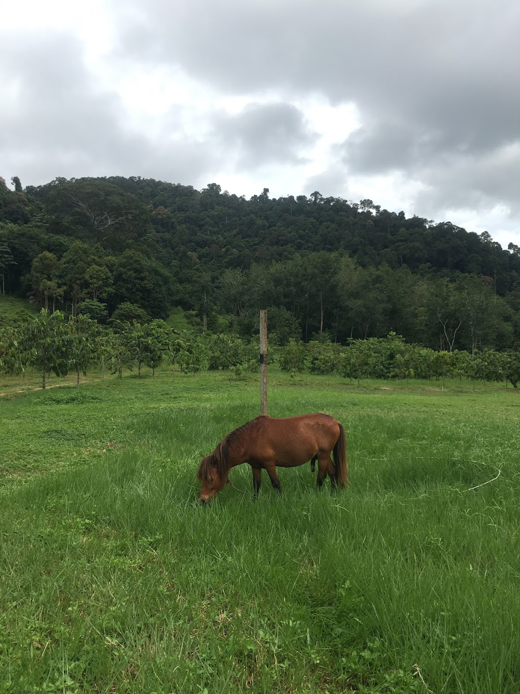 Jelajahi Bangkanesia Wisata: Pesona Tersembunyi di Bangka Tengah