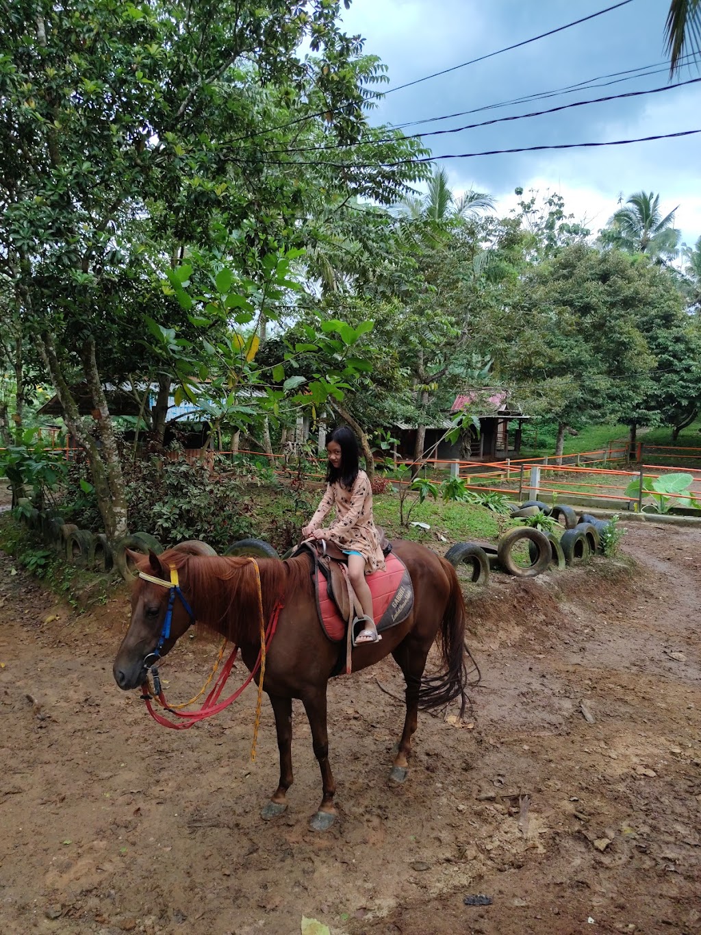 Lembah Durian Farm Stable: Petualangan di Bandar Lampung