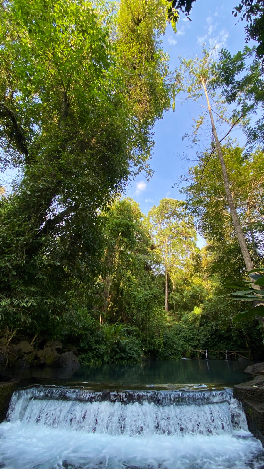 Jelajah Bunut Ngengkang: Pesona Tersembunyi di Lombok Barat