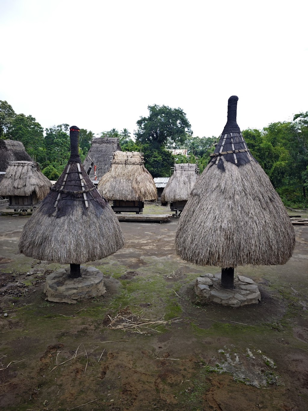 Jelajahi Kampung Megalitikum Luba: Misteri Batu Purba di Ngada