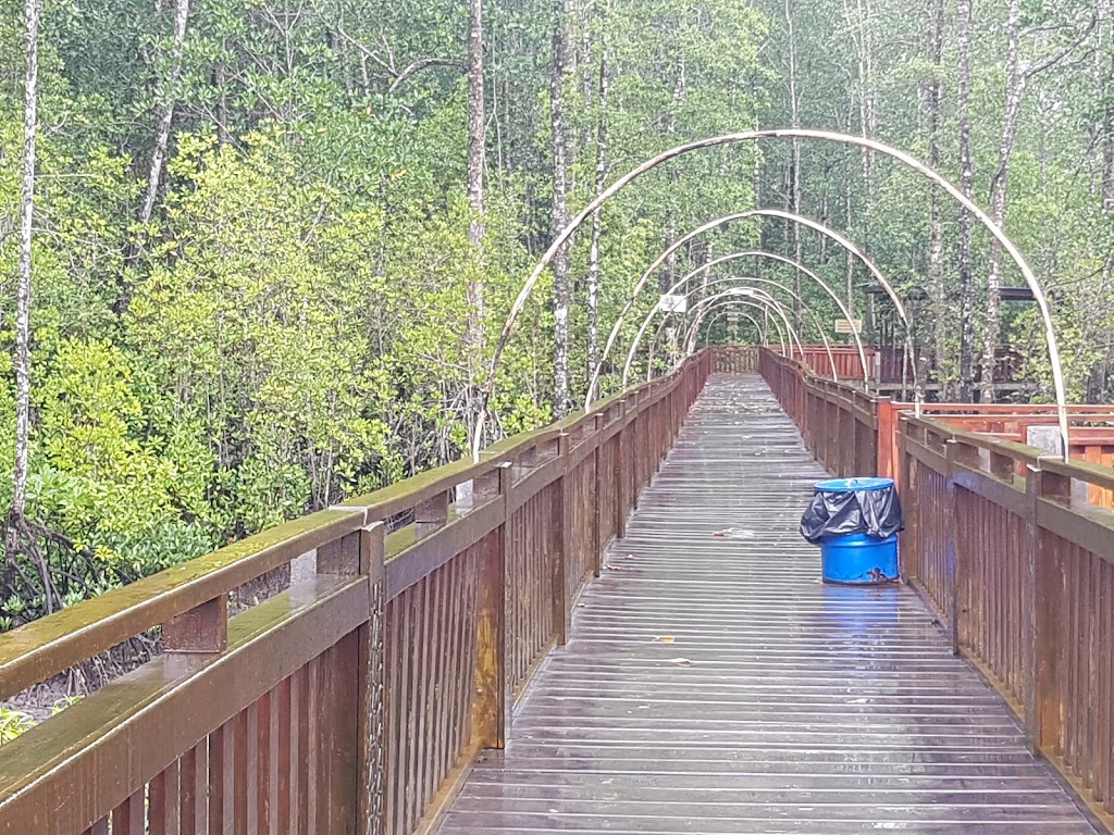Jelajah Hutan Mangrove Mimika: Keindahan Alam Papua yang Memukau