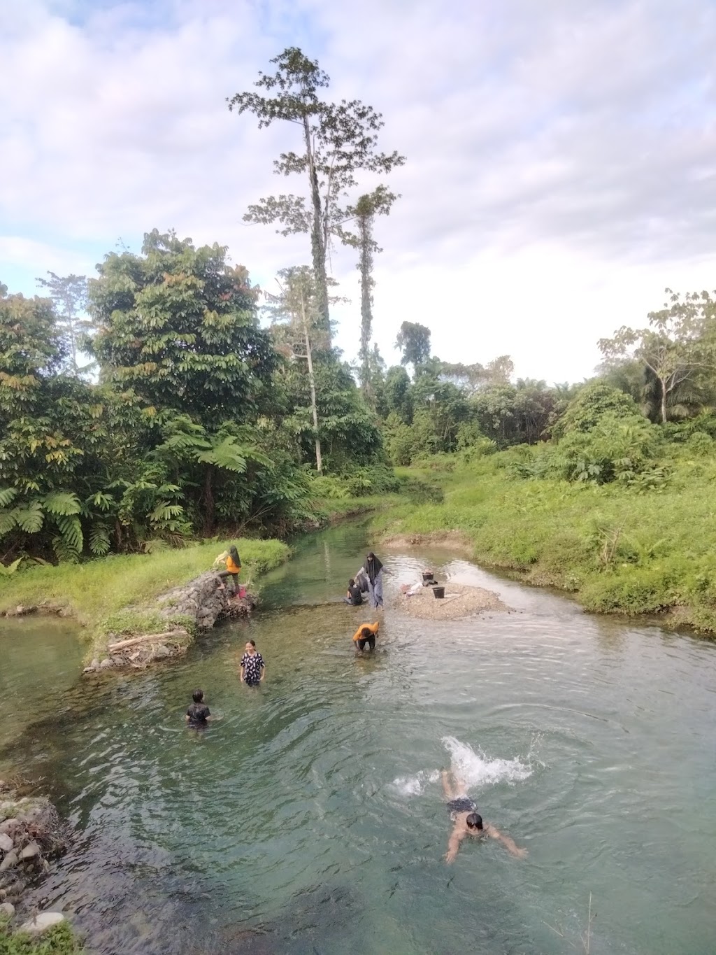 Jelajahi Kali Hitam: Pesona Alam Tersembunyi di Papua Barat