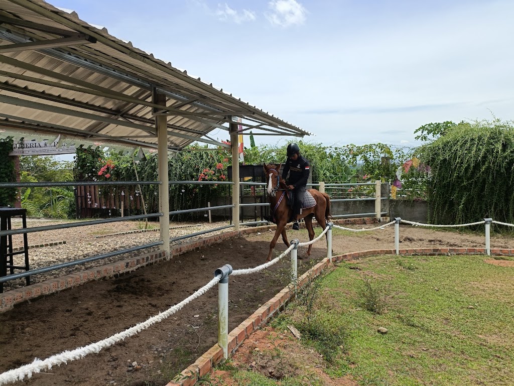 Plumeria Eco Park Muara Enim: Oase Keindahan di Sumatera Selatan