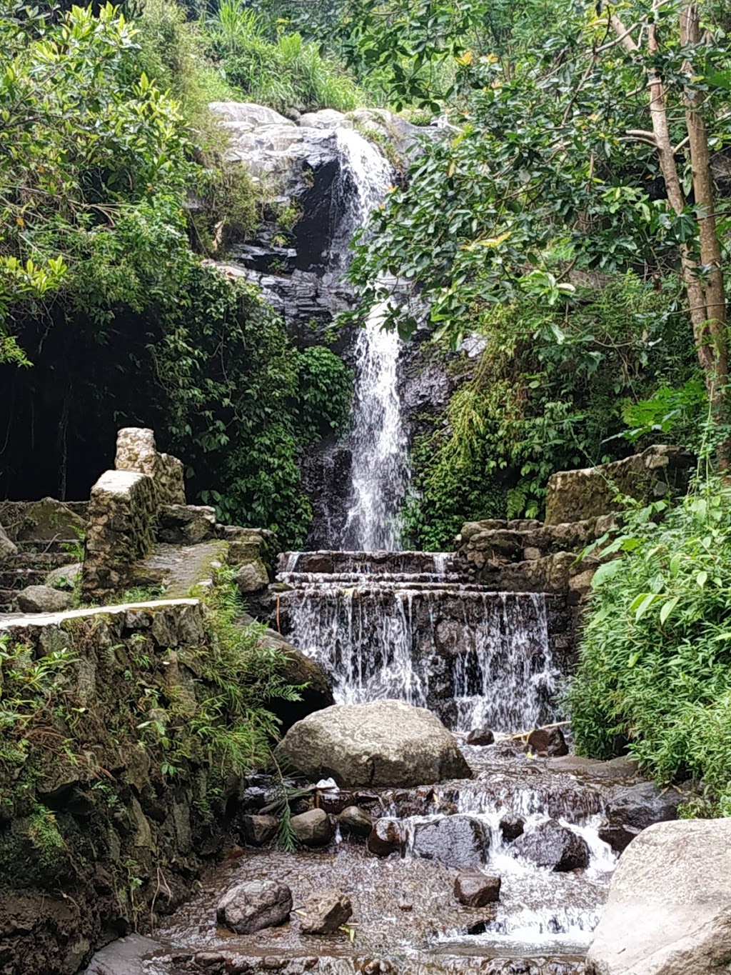 Pesona Air Terjun Tirto Wening: Keindahan Tersembunyi di Semarang