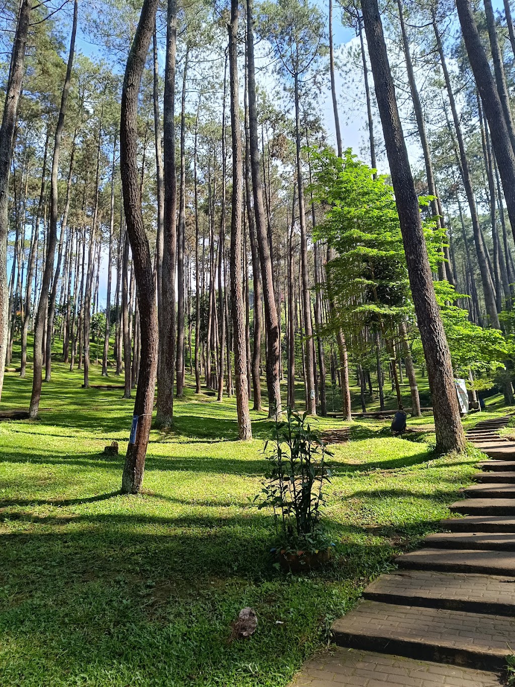 Jelajah Wisata Batu Kuda: Pesona Tersembunyi di Kabupaten Bandung
