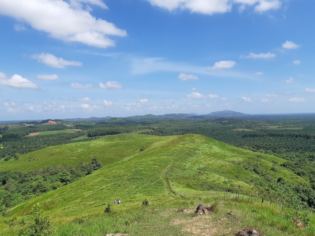 Bukit Teletubbies: Petualangan di Perbukitan Hijau Kalimantan Selatan