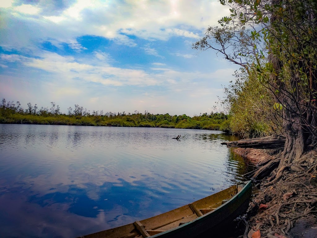 Pesona Tersembunyi Danau Hanjalutung, Kalimantan Tengah