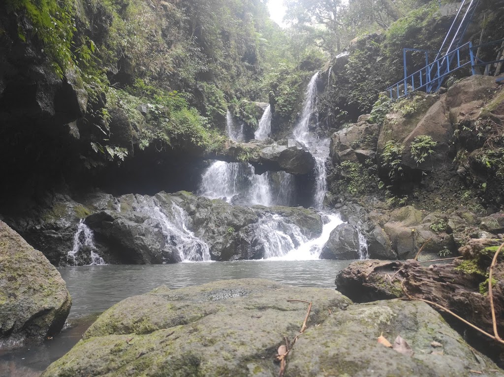 Padha Watu: Pesona Tersembunyi di Desa Were, Ngada