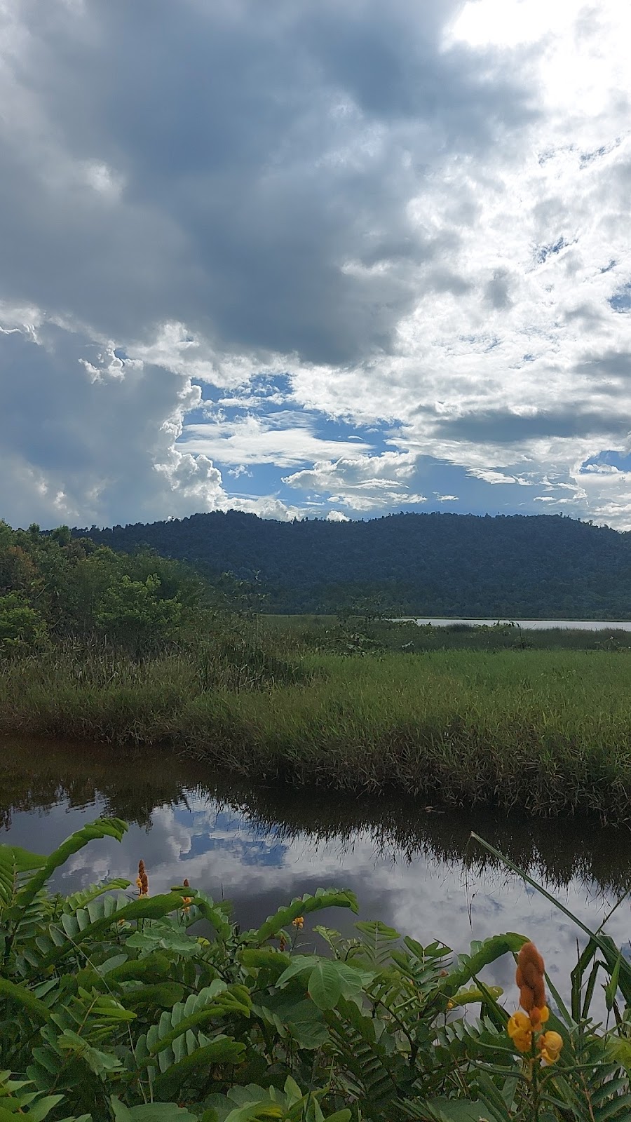 Pesona Danau Tiu, Surga Tersembunyi di Morowali Utara