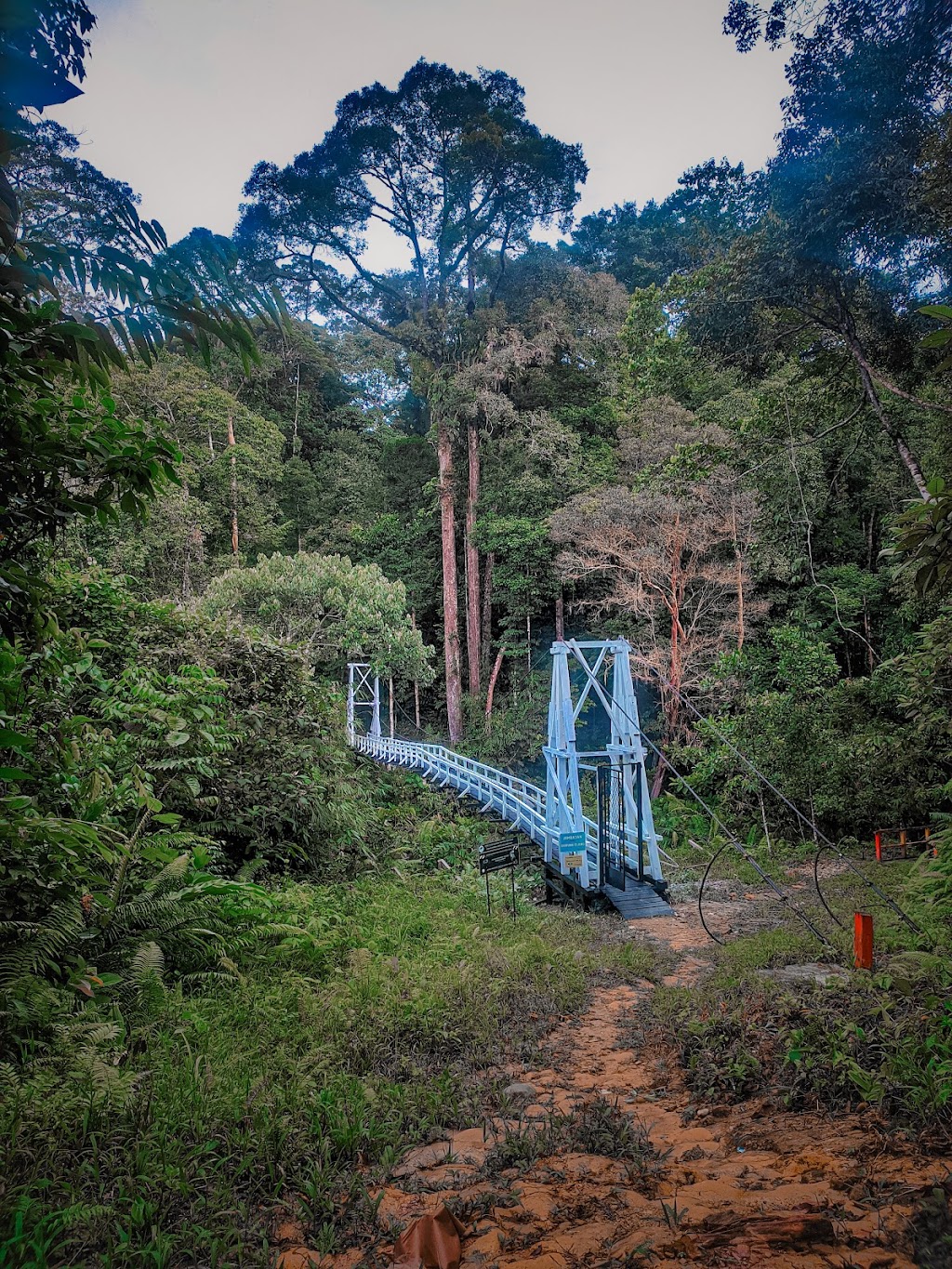 Jelajahi Pesona Wisata Alam Belaban, Kalimantan Barat
