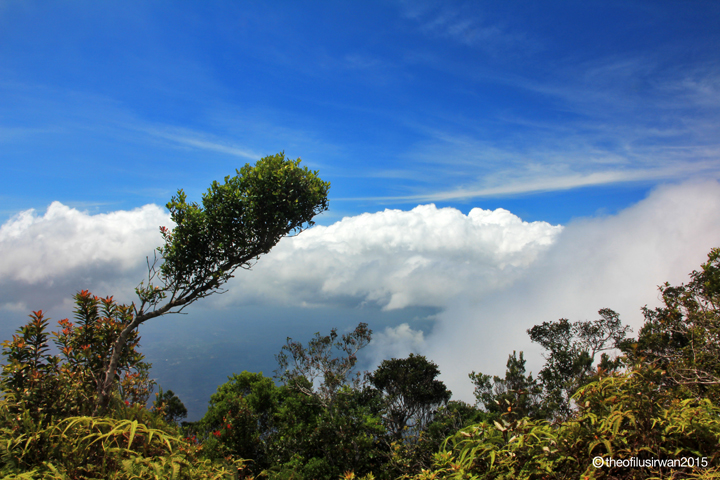 Petualangan Menakjubkan di Gunung Saran, Kalimantan Barat
