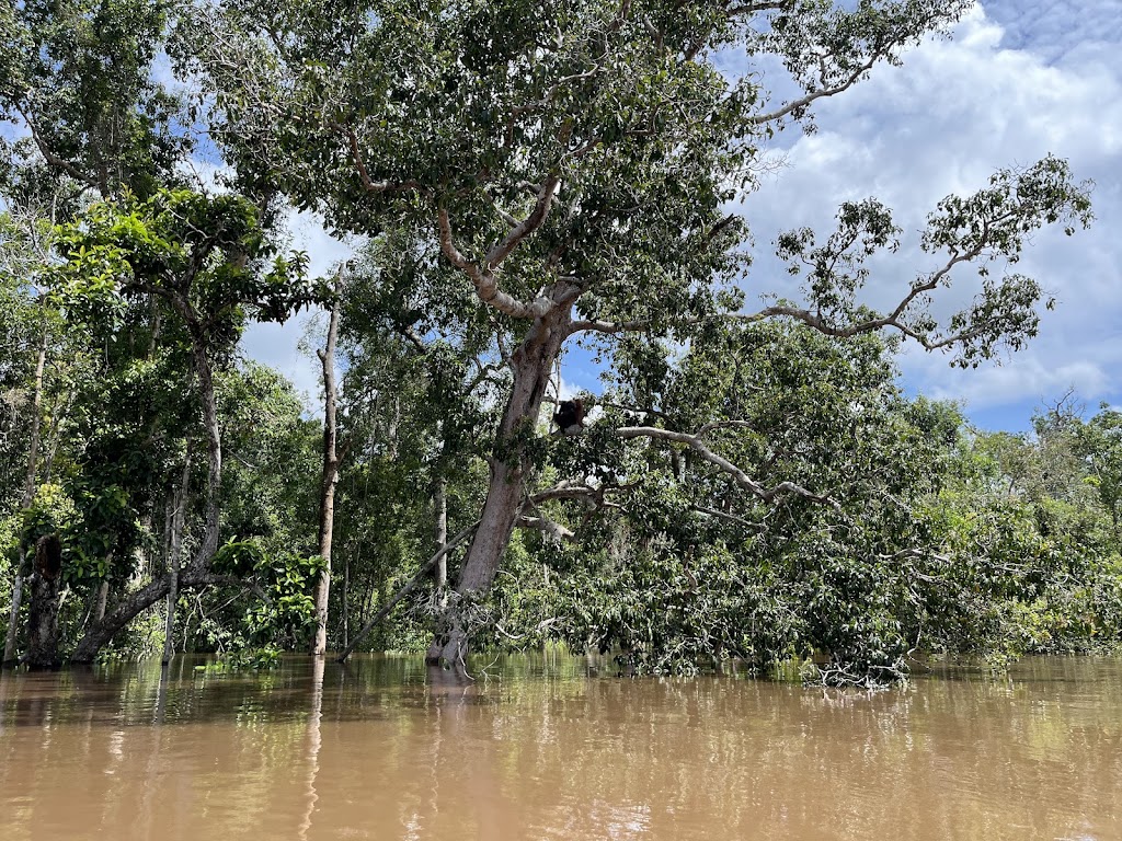 Jelajahi Pulau Kaja: Pesona Tersembunyi Kalimantan Tengah