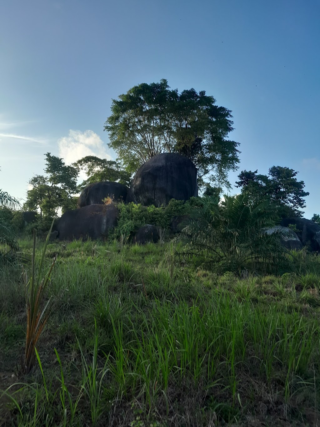 Pariang Pantai: Pesona Tersembunyi di Bangka Tengah