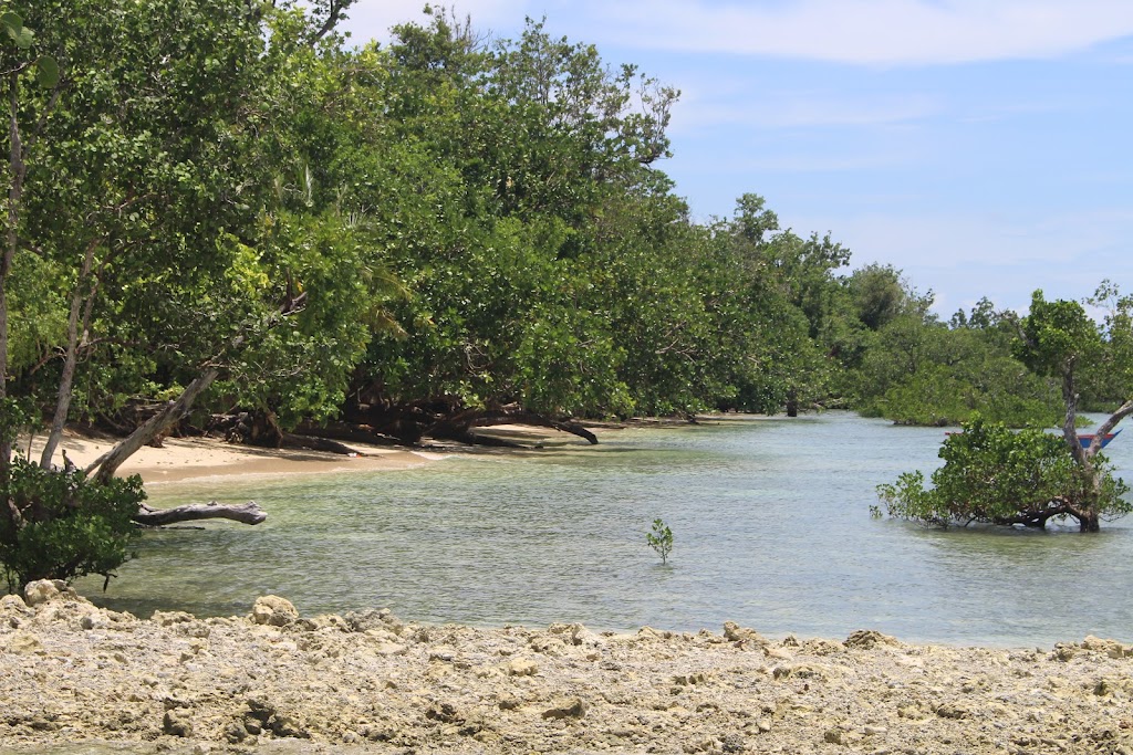 Pesona Pantai Merry, Nabire: Surga Tersembunyi di Papua