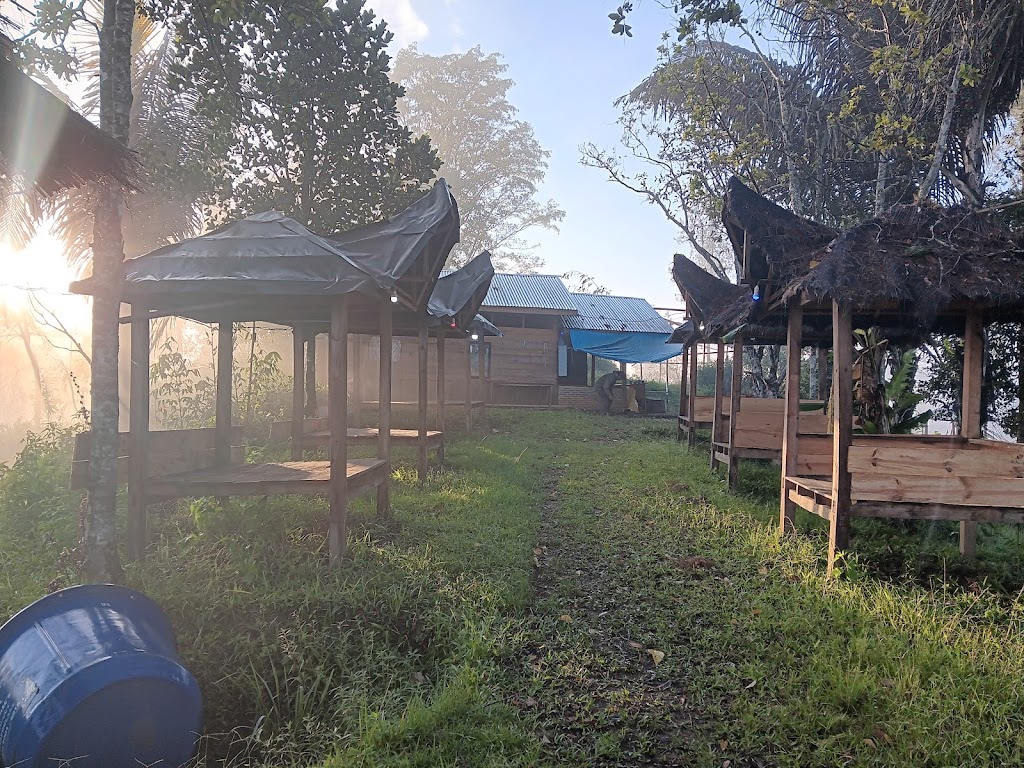 Pesona Rante Tombang: Mengungkap Keindahan Desa Bombong Lambe di Mamasa